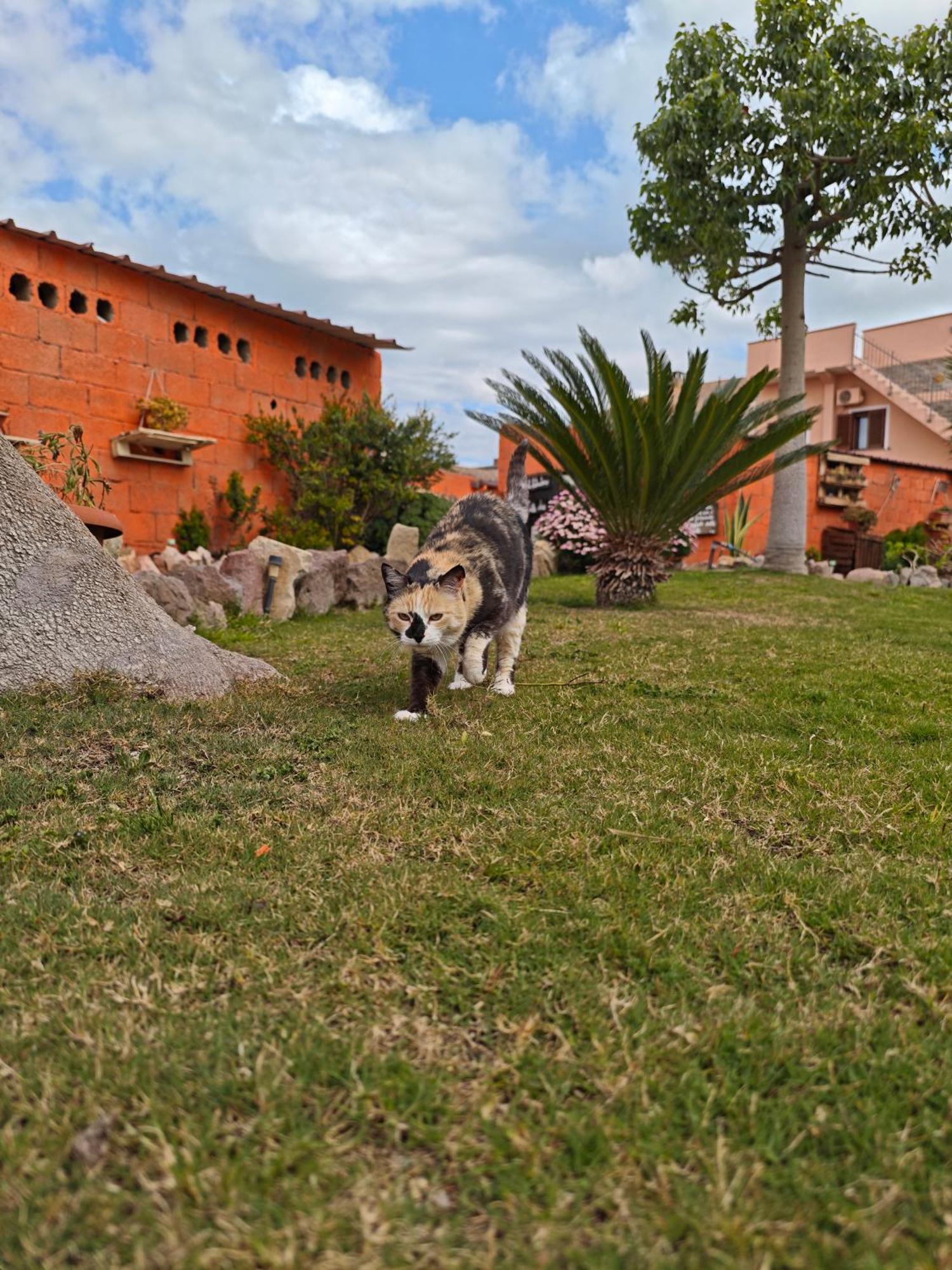 B&B Domu Delunas Giba Exterior photo